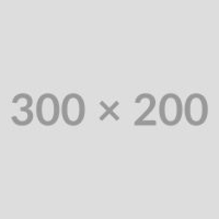 The World Caters to Average People